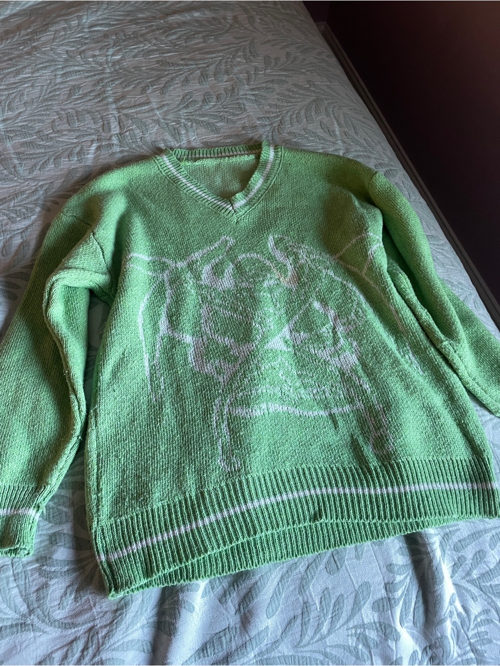 Women’s  V-Neck Green Graphic Sweater